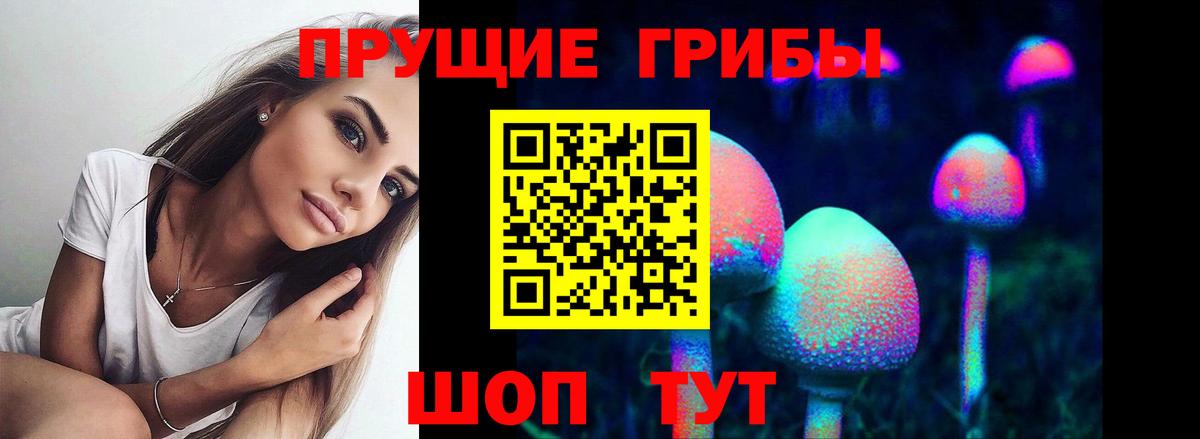 Галлюциногенные грибы Magic Shrooms Лыткарино